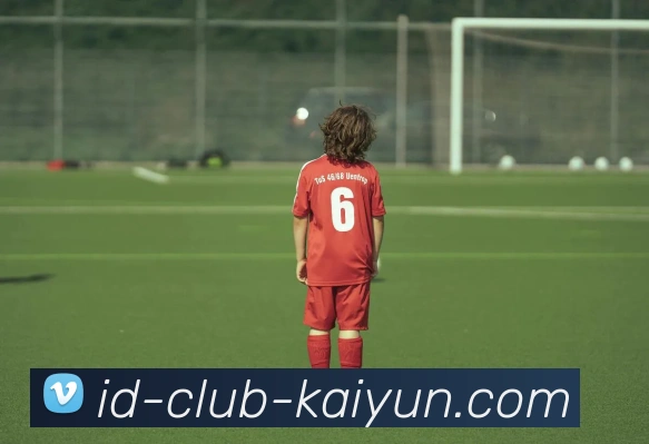 kaiyun sports服务体系